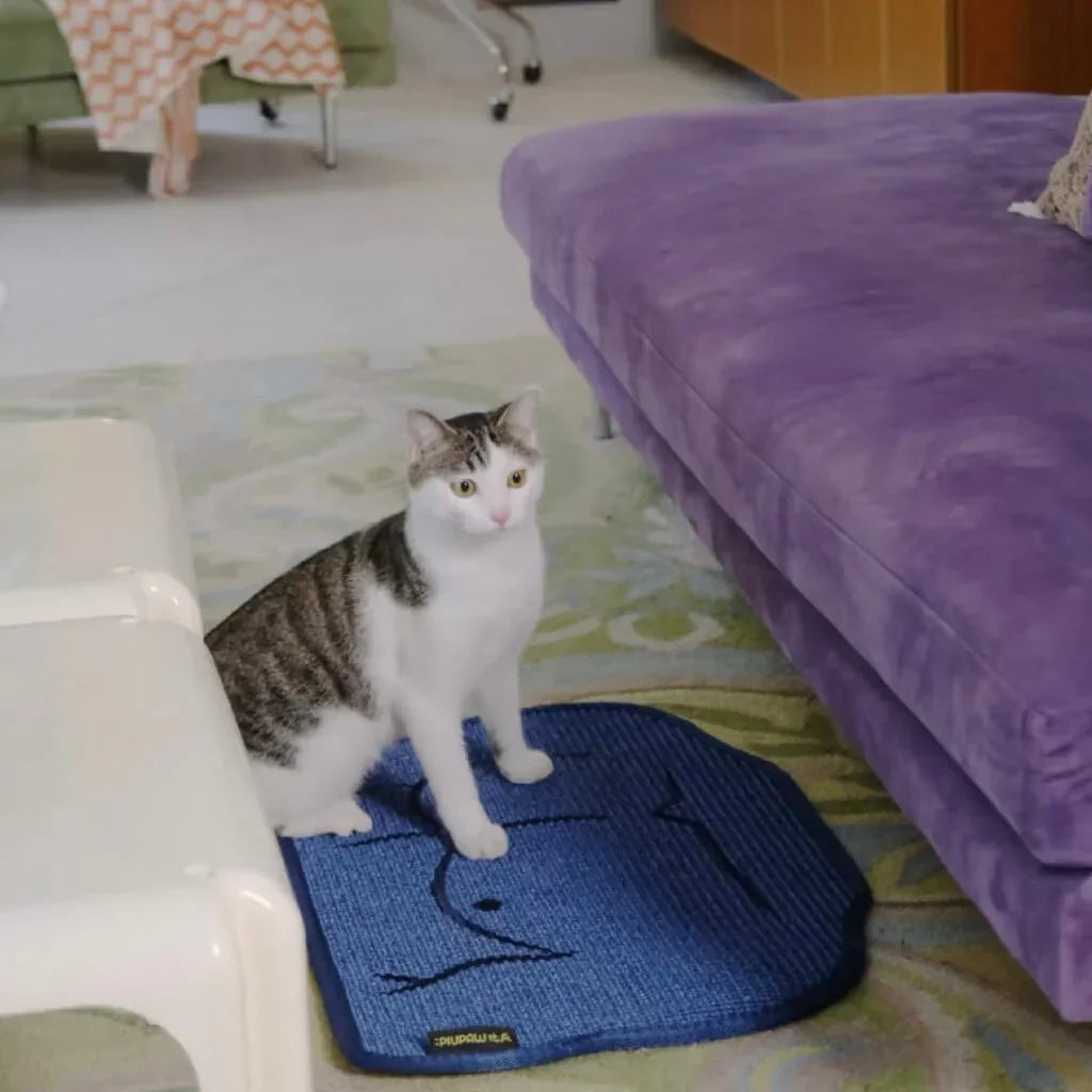 Cat sitting on a blue mat in a living room with a purple couch and white chair.