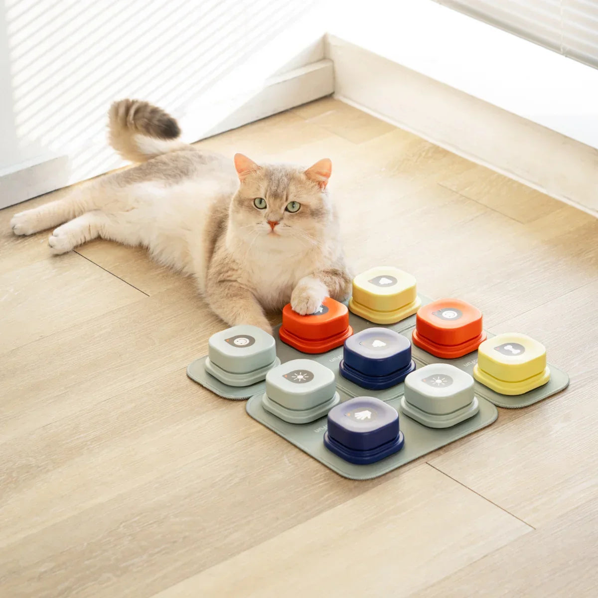 Dog Talking Button Kits 3 Sets