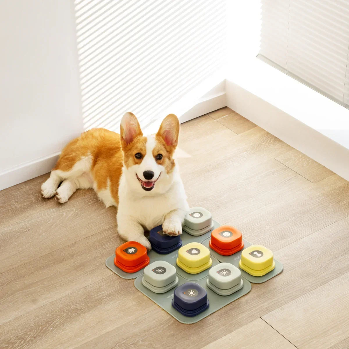 Dog Talking Button Kits 3 Sets