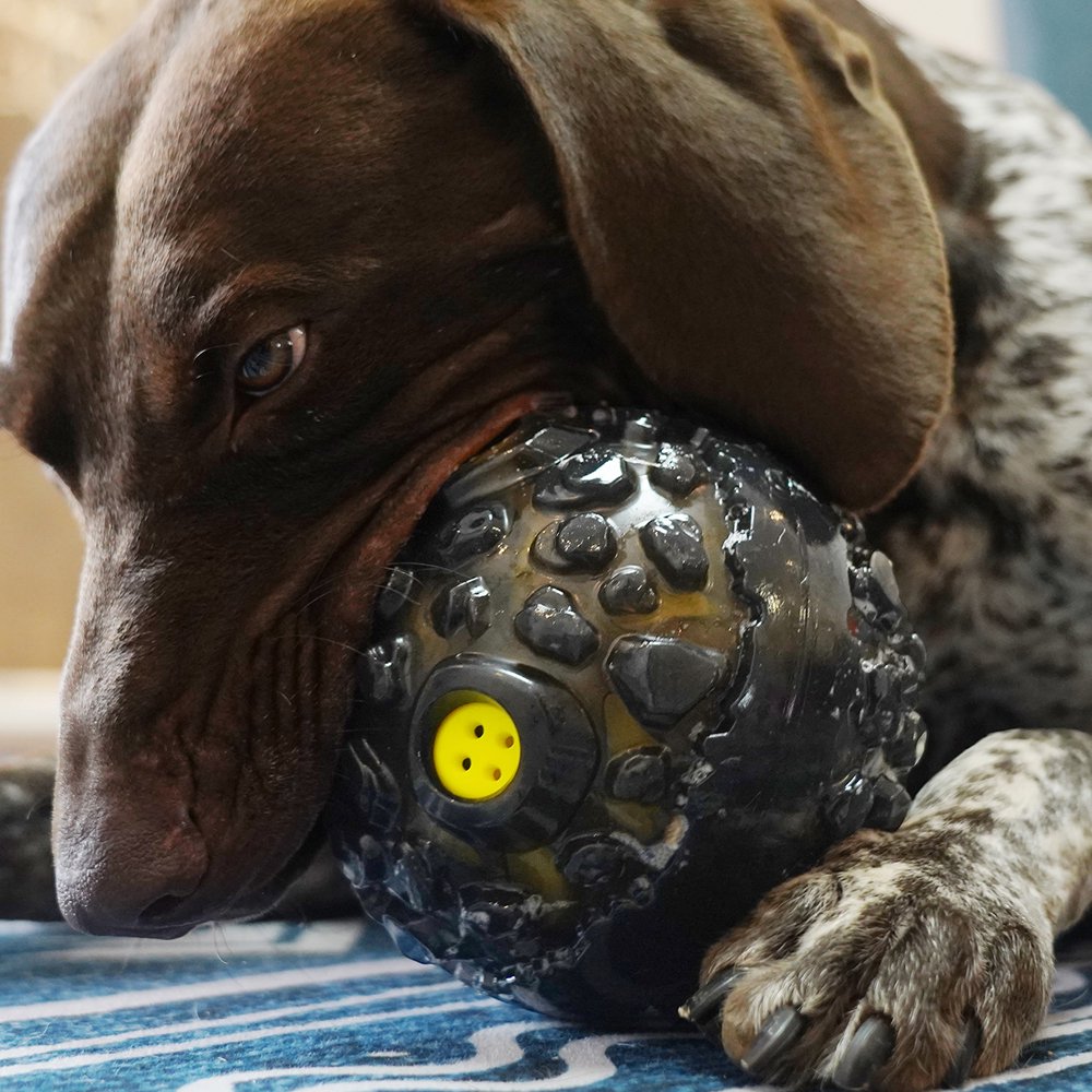 Meteorite Rolling Giggling Dog Ball