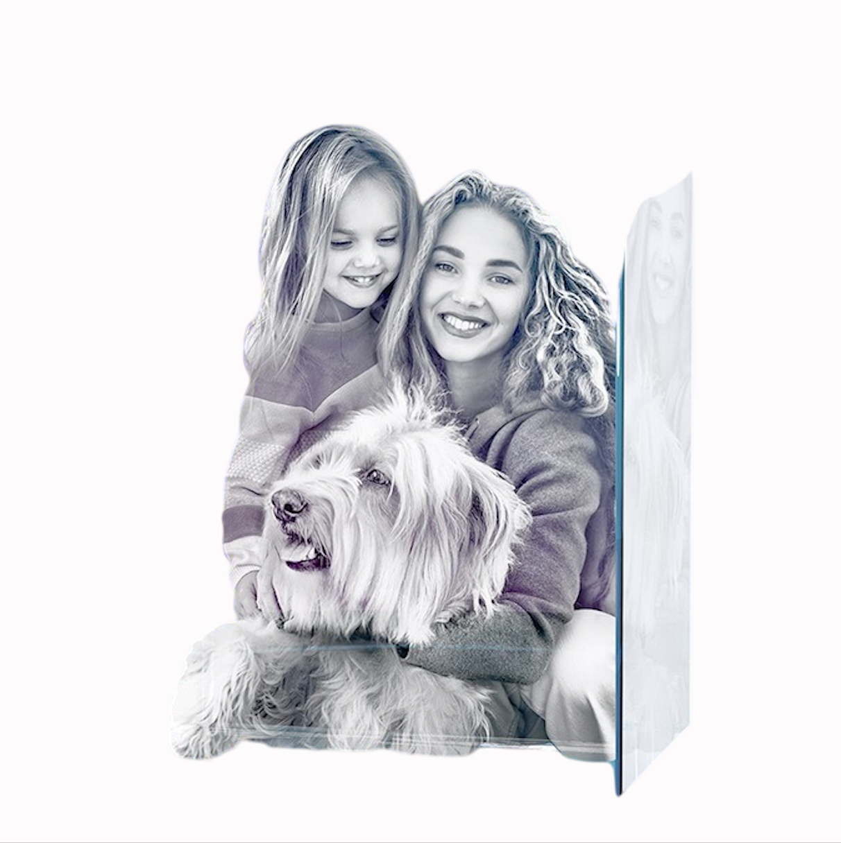 Personalized 3D Crystal Prestige Pet Photo Frame Decoration