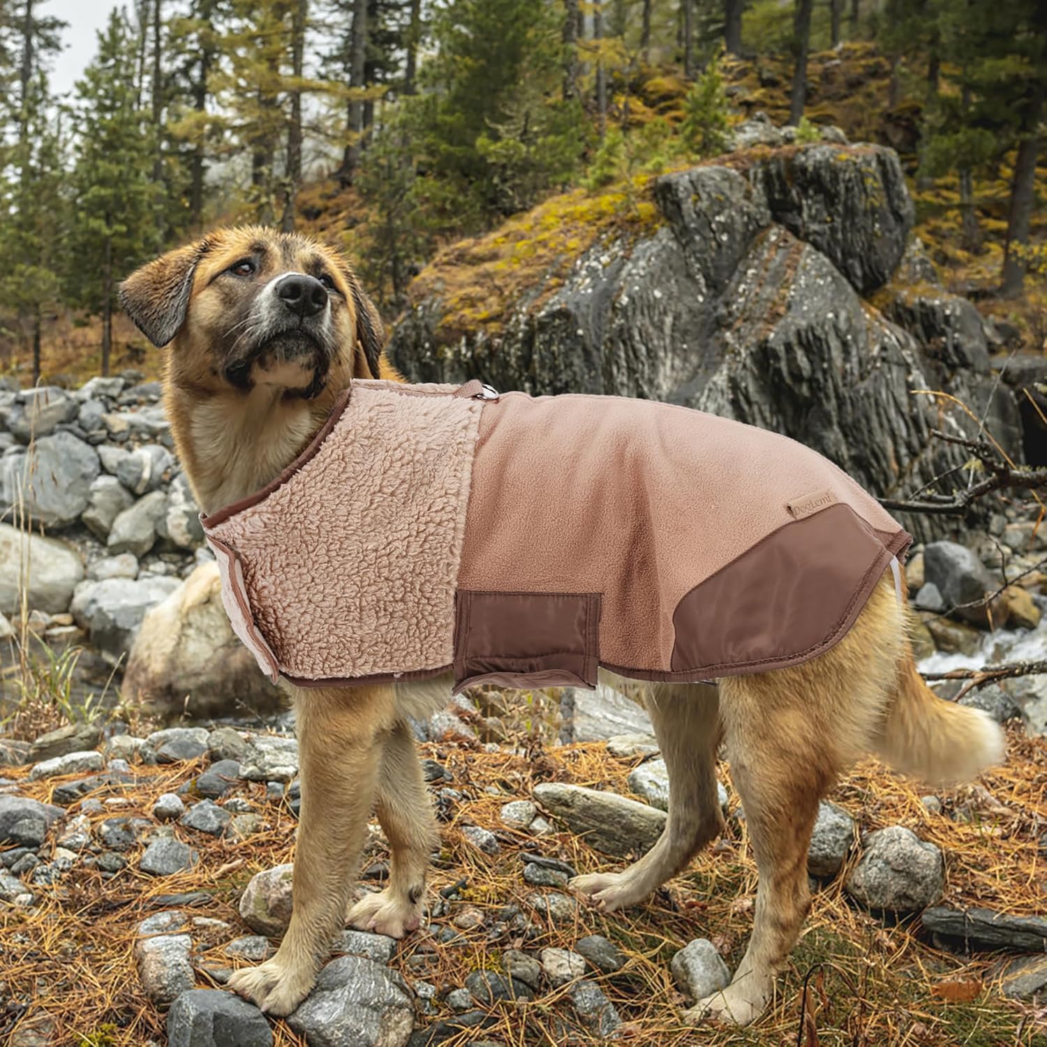 Double - Sided Lamb - Wool Jacket For Dogs Winter