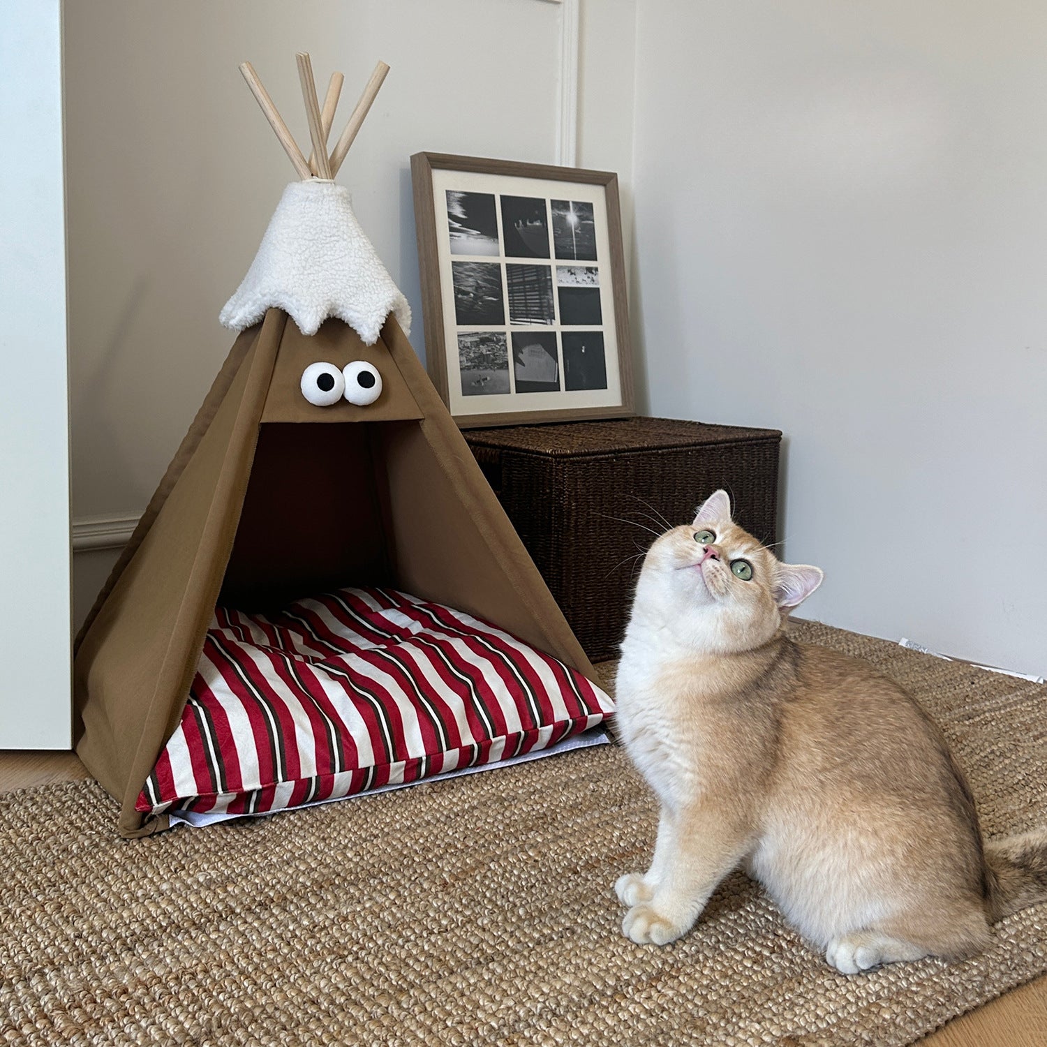 A Cozy Haven: Christmas Tri-column Cat & Dog Canvas Tents& Beds