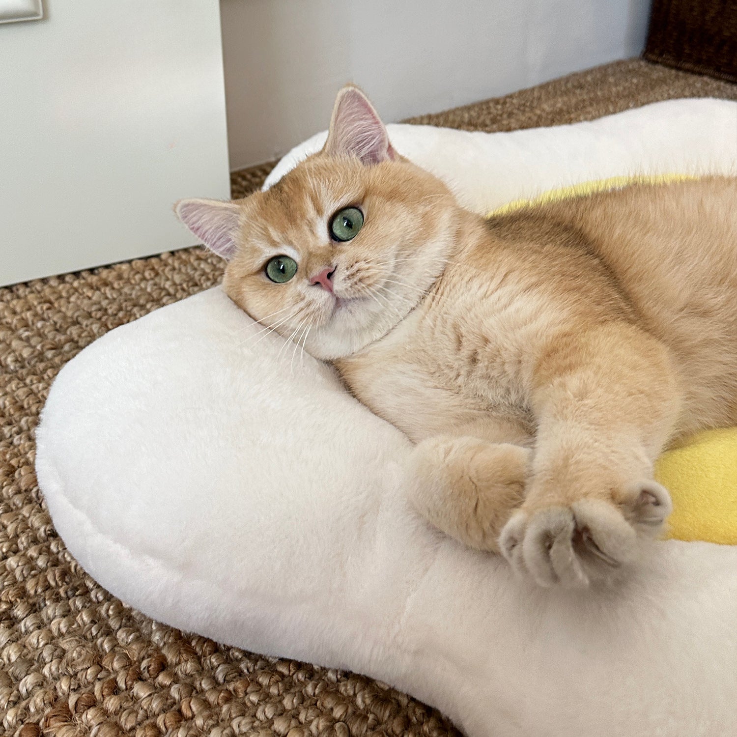 Sunny Side Up Cat Pillow Beds with Crinkle Paper