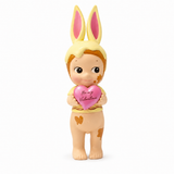 Secret Rabbit Opened Box