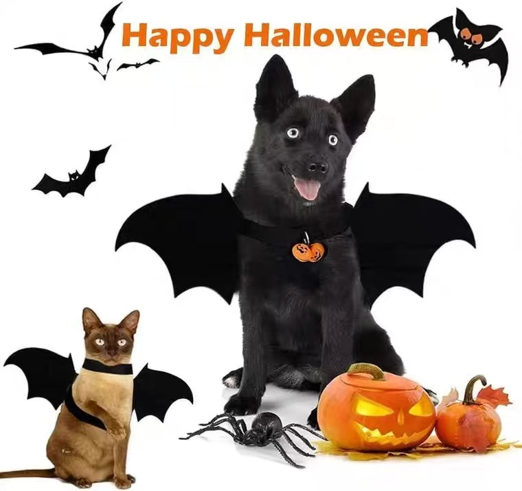 Batman Dog Halloween Costume