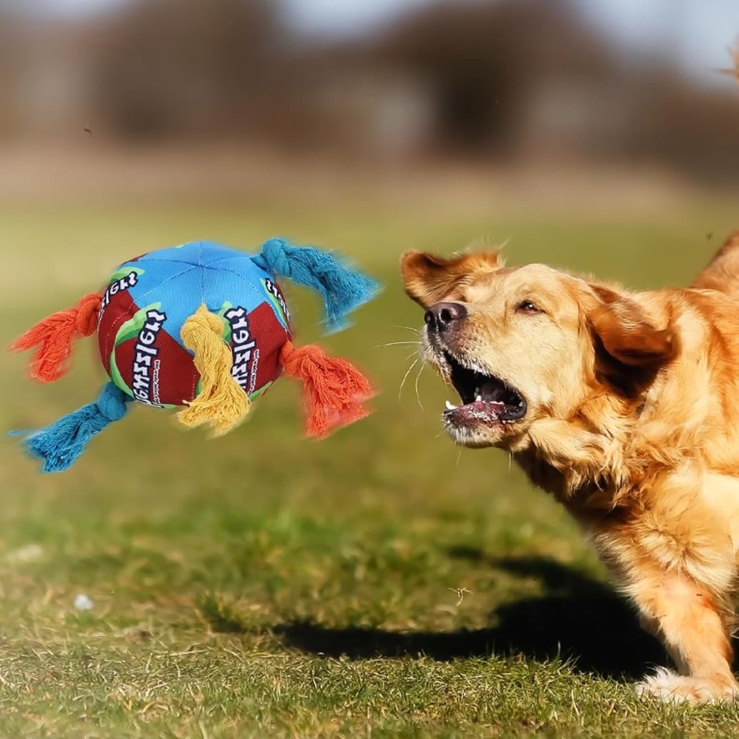 Rainbow Squeaky Dog Toy with Rope