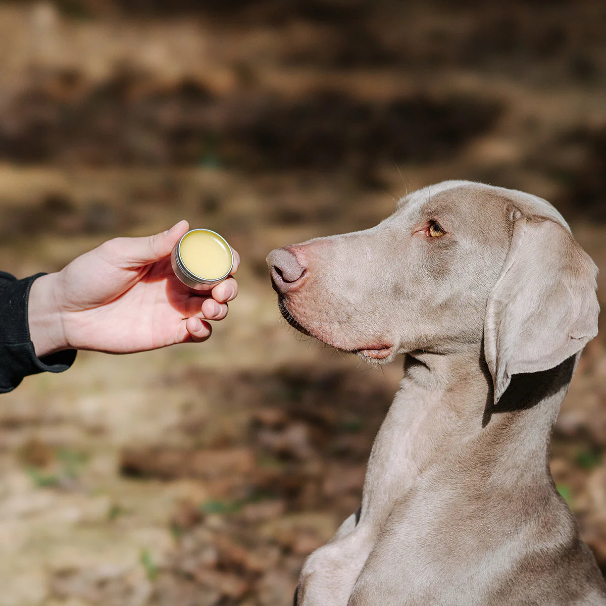 Dog Wrinkle Balm with Calendula Essence for Tear Stains - ri-son