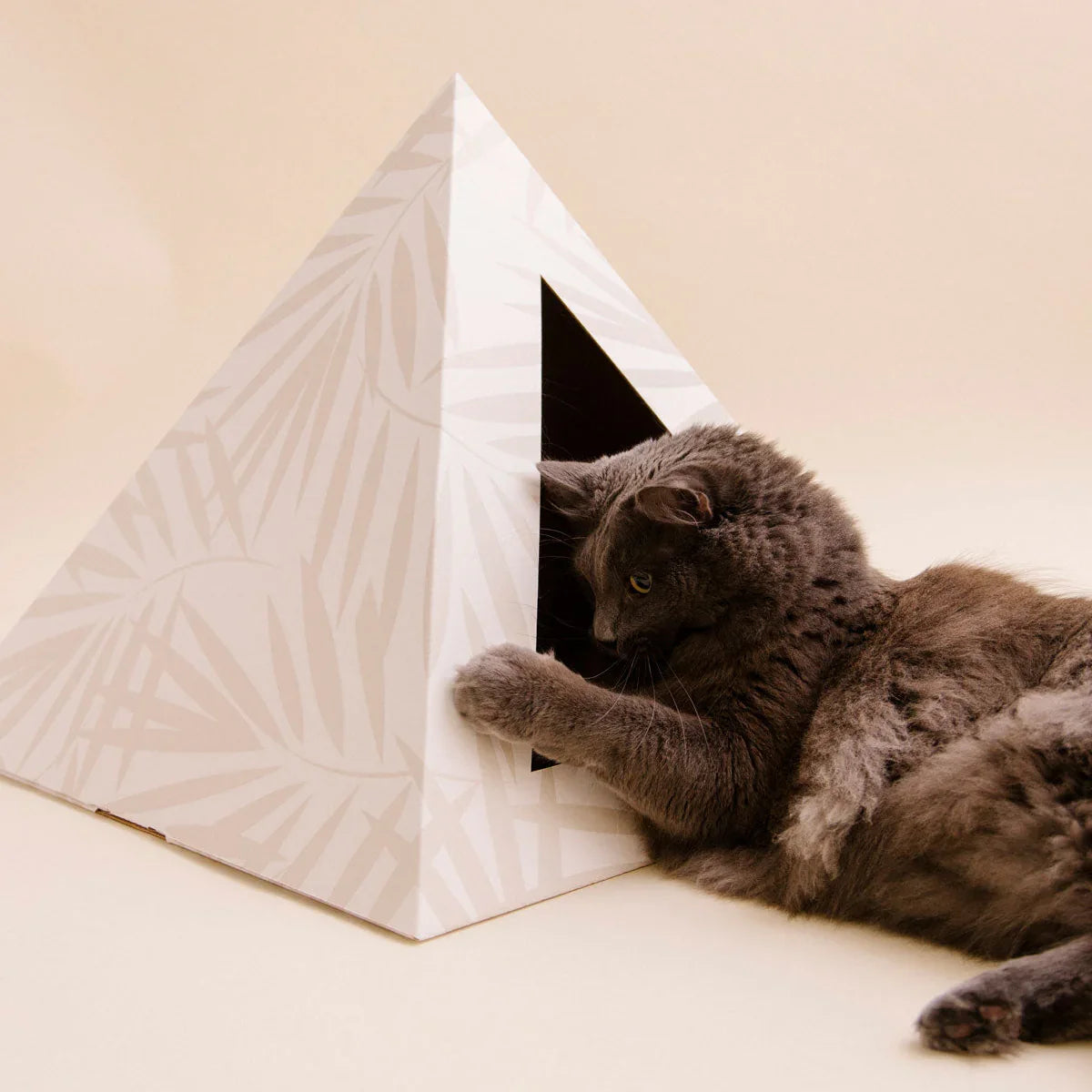 Pyramid-shaped pet bed with a cat inside on a beige background