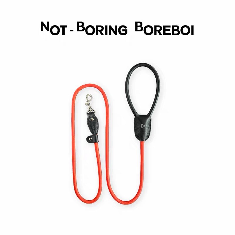 Not-Boring Boreboi Pet Knight orange and black leash on white background