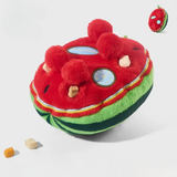 Watermelon Enrichment Toy