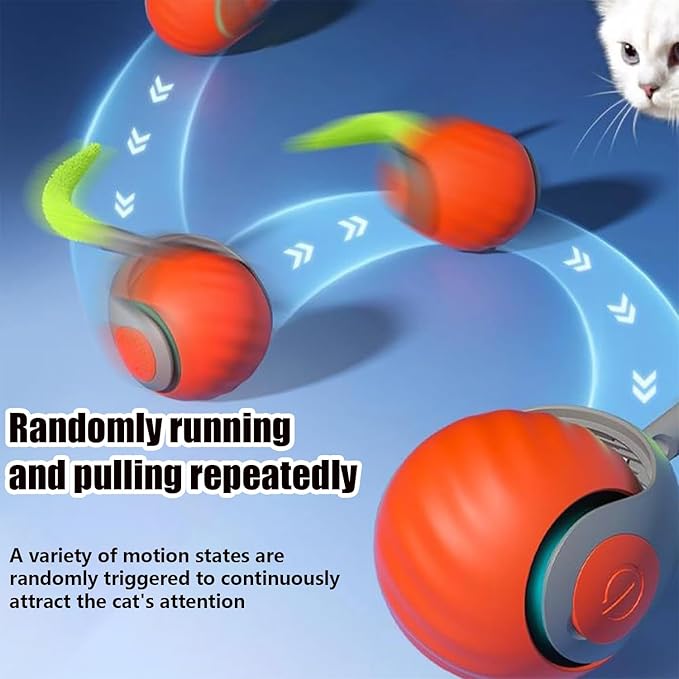 Interactive Cat Ball With Tail