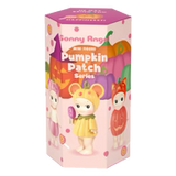 Blind Box (Opened Box)