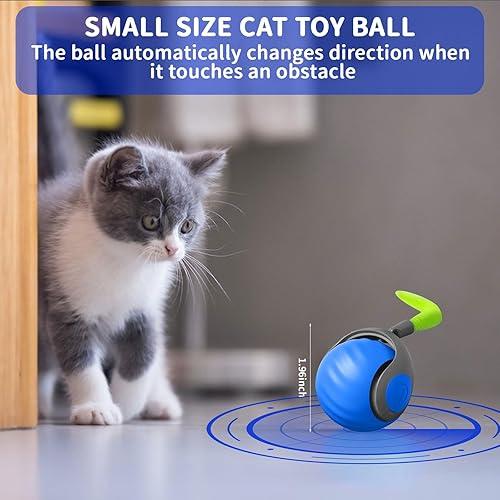 Interactive Cat Ball With Tail