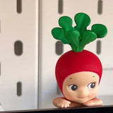 Radish-Opened Box