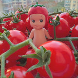 Tomato-Opened Box