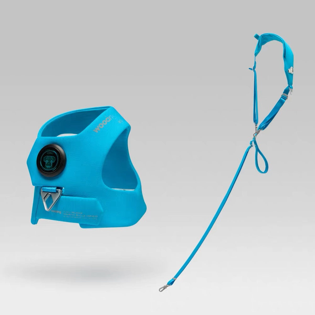 Wooang Shield-01 azure blue dog harness with matching leash